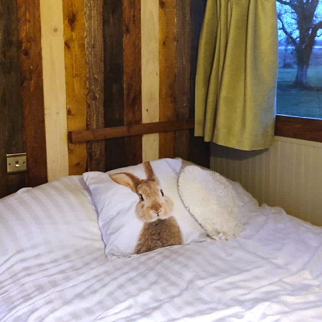 Glasson_Glamping_School_Bus_Bedroom