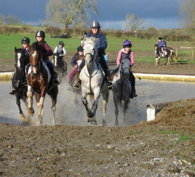 athlone equestrian centre